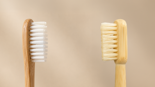 Brosse à dents en bambou : poils en nylon ou poils naturels ?