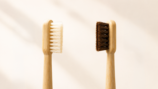Poils de sanglier ou crin de cheval : quelle brosse à dents naturelle choisir ?